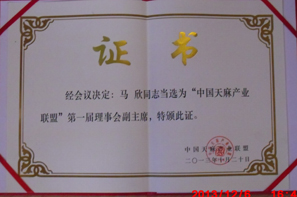 Vice chairman of Gastrodia elata